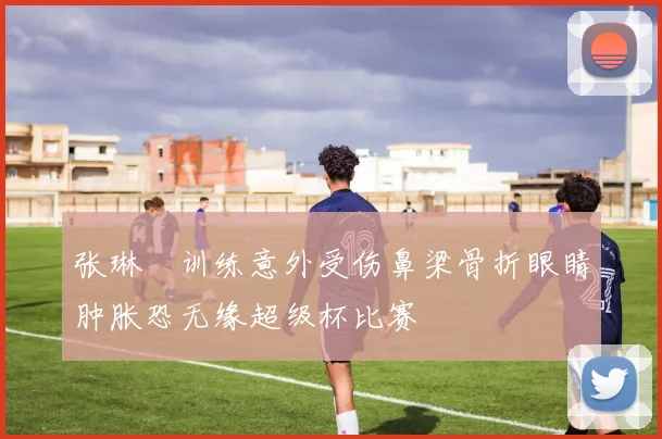张琳芃训练意外受伤鼻梁骨折眼睛肿胀恐无缘超级杯比赛